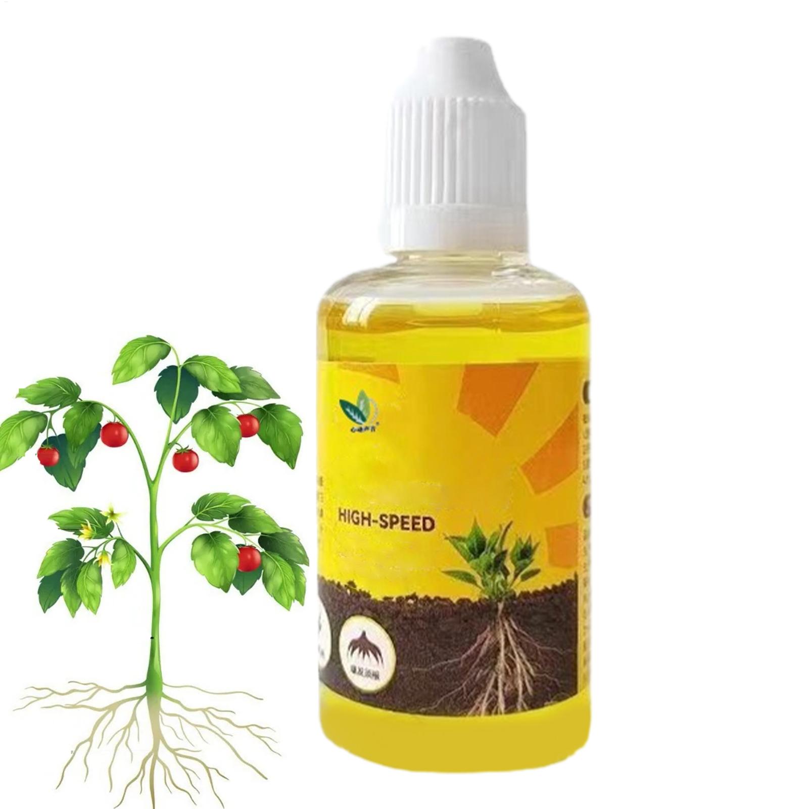 Cairan Kebangkitan Tanaman 50M - Root Stimulator Liquid ulasan dan harga