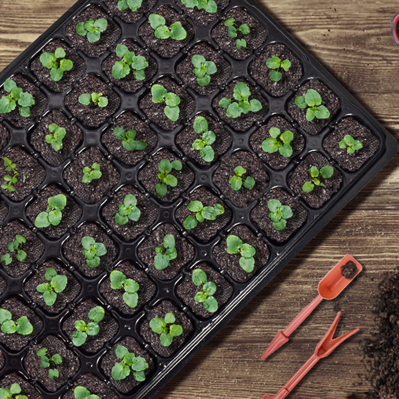 ABGH-10 Pak pot benih Starter  - Propagation Tray 72 ulasan dan harga