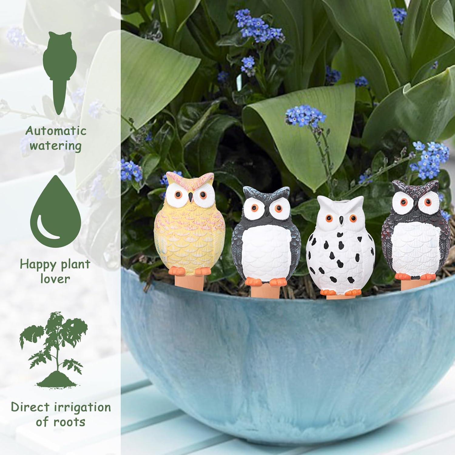 Bola Penyiram Tanaman Otomatis - Self Watering Insert ulasan dan harga