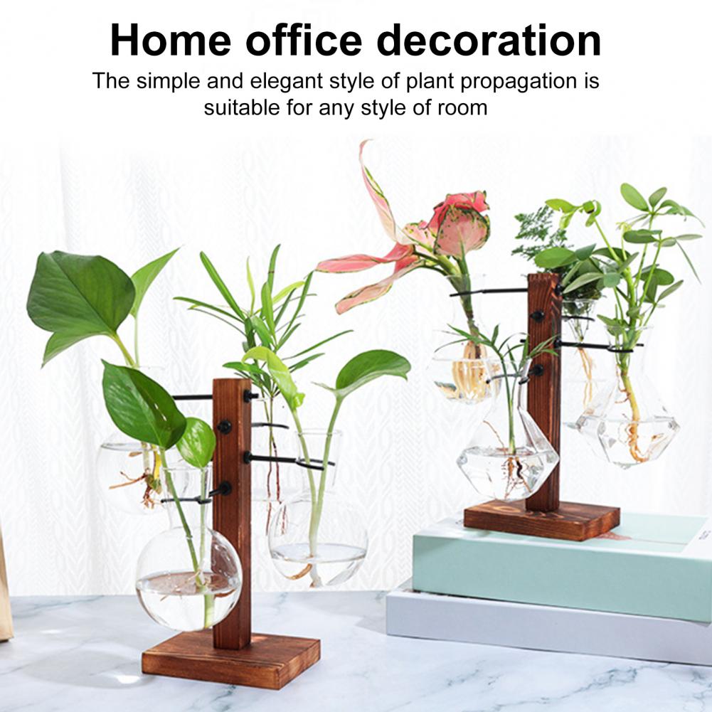 1 Set 10*25Cm Stasiun Perbanya - Propagation Station Vase ulasan dan harga