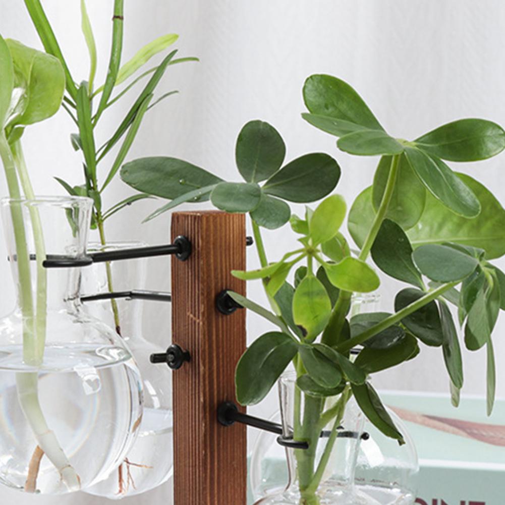 1 Set 10*25Cm Stasiun Perbanya - Propagation Station Vase ulasan dan harga