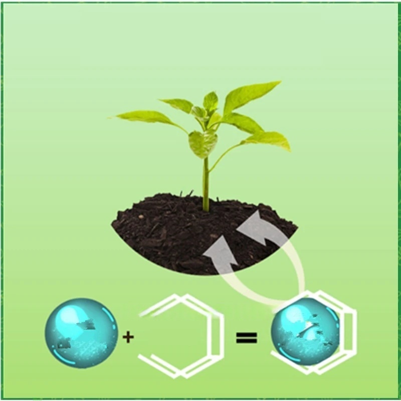 500g Hormon Perakaran Berkekua - Rooting Hormone Powder ulasan dan harga