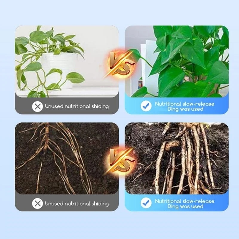 500g Hormon Perakaran Berkekua - Rooting Hormone Powder ulasan dan harga