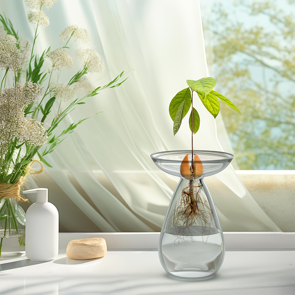Vas Pembenihan Biji Alpukat Tr - Propagation Station Vase ulasan dan harga