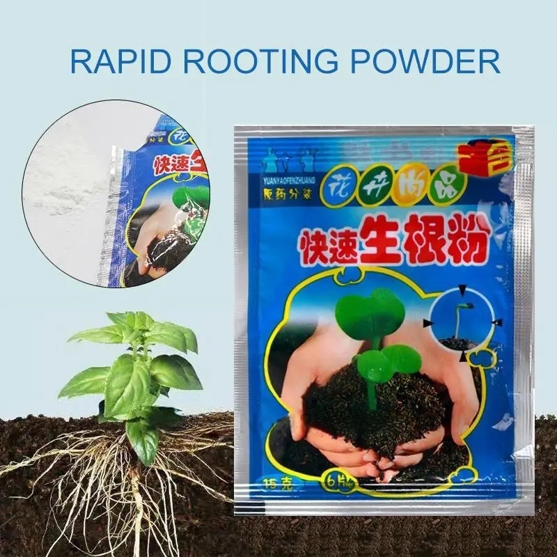 5 Buah Bubuk Perakaran Cepat A - Rooting Hormone Powder ulasan dan harga