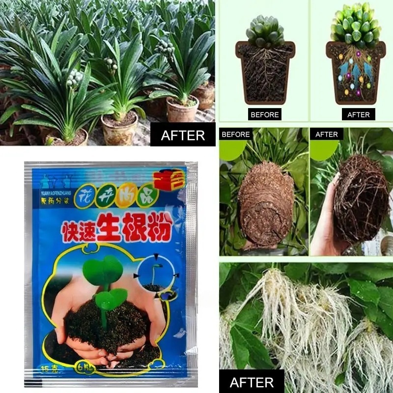 5 Buah Bubuk Perakaran Cepat A - Rooting Hormone Powder ulasan dan harga