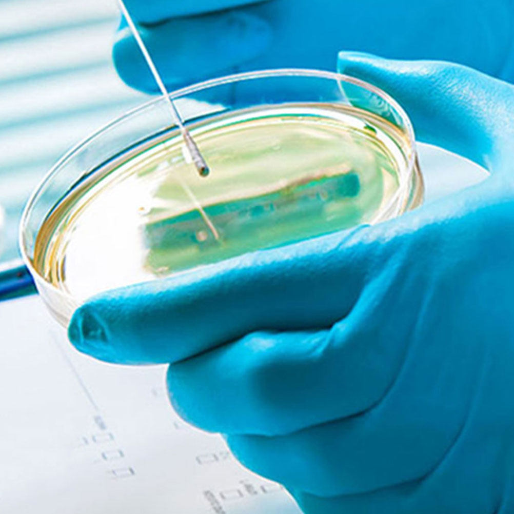 10 Buah Cawan Petri Plastik Tr - Agar Tissue Culture ulasan dan harga