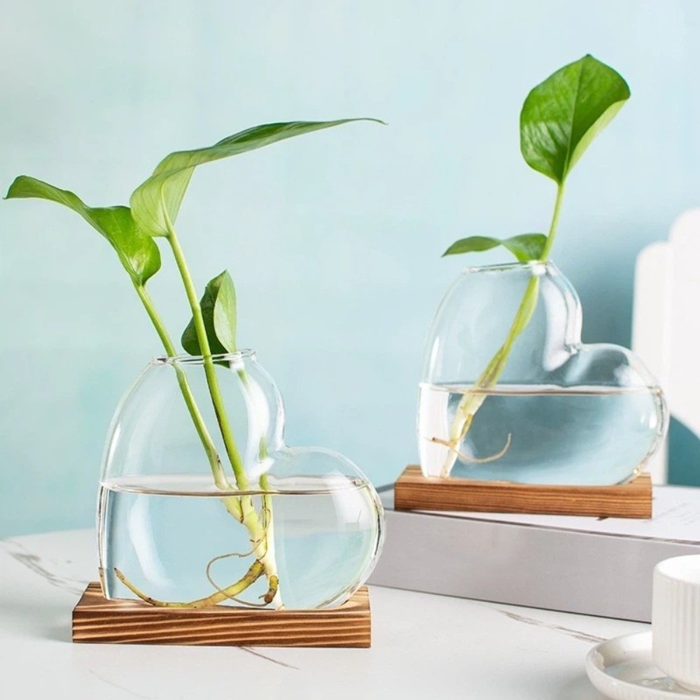 Vas Kaca Hidroponik Transparan - Propagation Station Vase ulasan dan harga