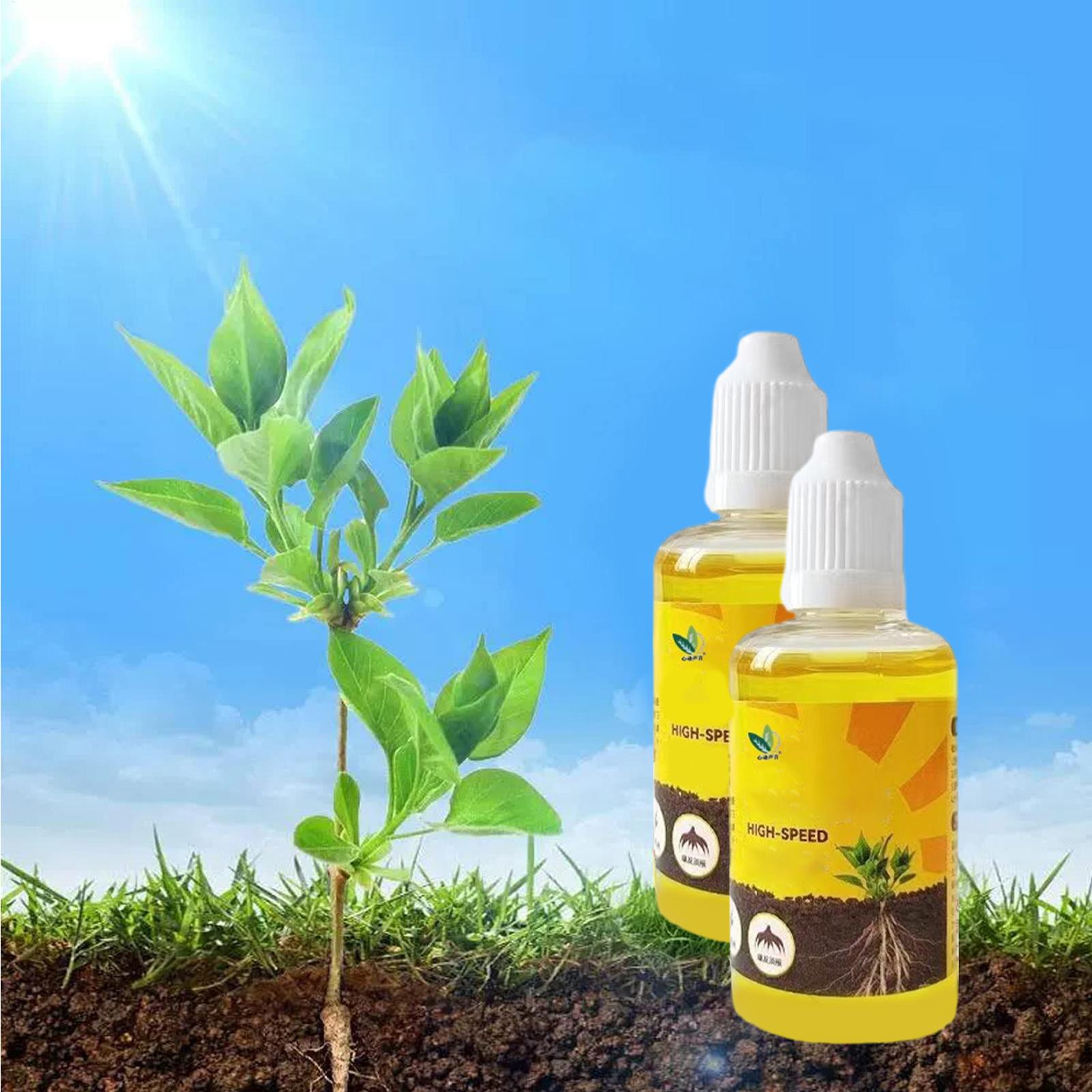 Larutan Nutrisi Tanaman Cepat  - Root Stimulator Liquid ulasan dan harga