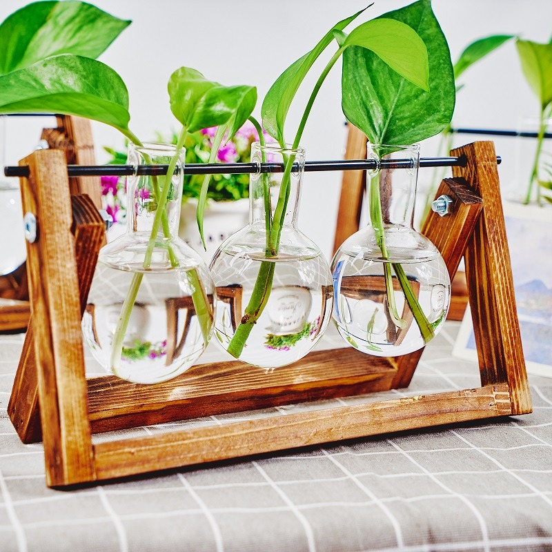 Vas tanaman hidroponik, vas ta - Propagation Station Vase ulasan dan harga