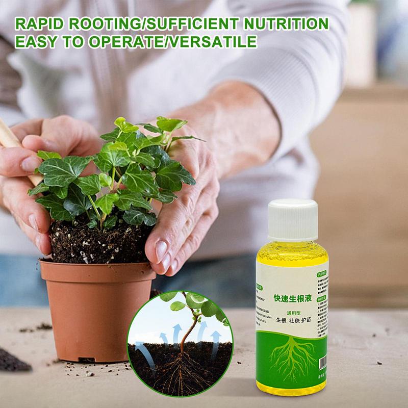 Penguat Akar untuk Tanaman Hor - Root Stimulator Liquid ulasan dan harga