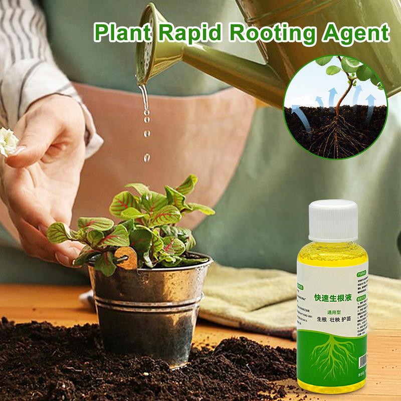 Penguat Akar untuk Tanaman Hor - Root Stimulator Liquid ulasan dan harga